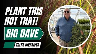 Invasive Plants Explained: What’s Listed, What’s Next, and What’s Available as an Alternative