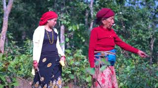 Village life in Nepal || Village Kitchen || Gaule Jiban