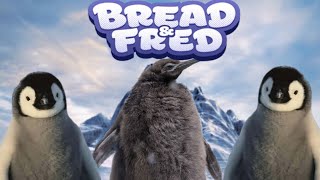 Poorly Playing Bread and Fred