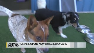 Animal Humane opens new boarding and doggie daycare facility