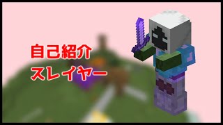 【ハイピクセル】初投稿！自分の島の紹介とスレイヤー【スカイブロック】