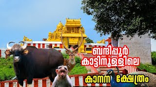 Himavad Gopalaswamy Betta | Bandipur Tiger Reserve |  ബന്ദിപ്പൂർ വനത്തിലെ ഏറ്റവും വലിയ കൊടുമുടി  |