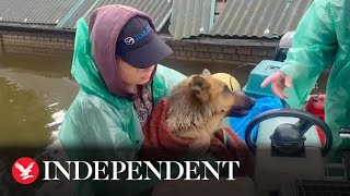 Volunteers risk lives to rescue animals from floods after Ukrainian dam destroyed