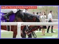 2022宝塚記念／メロディーレーン専用のパドック映像～競馬場の観察日記 no018