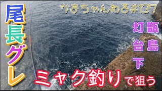 ミャク釣りでねらう尾長グレ　甑島鹿島灯台下の尾長グレ釣り