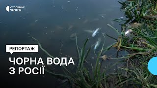 Чорна вода, ймовірно, прибула з Росії: що розповідають місцеві про сморід і мертву рибу у річці Сейм