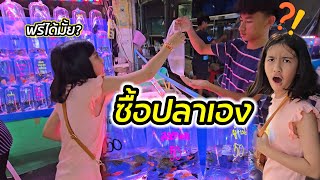 ออมเล็ต เดินซื้อปลา รอบสุดท้ายจริงๆ EP.2