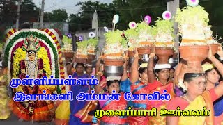 முள்ளிப்பள்ளம்  இளங்களி அம்மன் கோயில் _ முளைப்பாரி ஊர்வலம்