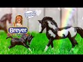 How to Make:  DIY Picture Frame PLUS Custom Breyer Horses | My Froggy Stuff Favorites Craft Kits