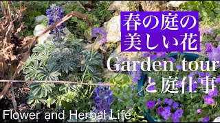 【Spring Gardening Vlog】Garden tour and garden choir in my garden 