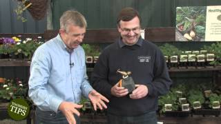 Toomers Tips - Garden Irrigation (May 2012) - Toomers Garden Centre, Swindon