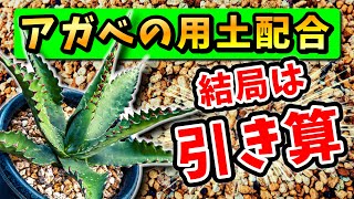 【アガベ】土，用土の配合はコレで決まり！！ボクのオススメ配合2024年版を教えます♪No.123