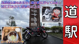 【Ninja250】ガーリックスケーキを食べに足柄金太郎のふるさと道の駅に行ってみた！だけど悲惨のことに。。。！