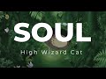High Wizard Cat - SOUL