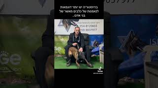 אביב שחר מאלף כלבים