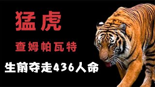 食人兽之王：查姆帕瓦特，毙命后已有436人命丧它口，被列入吉尼斯纪录