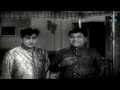 bhale rangadu movie anr comedy scene