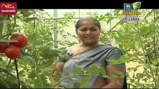 Govibimata Arunalla | 2022-05-29 | Rupavahini Agriculture