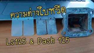 ใบหรีด Ls125 กับ Dash125 ต่างกันยังไง