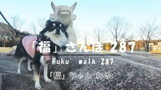 【ポメラニアンの福】1012 福さんぽ287（松虫姫公園）・\