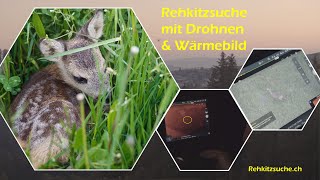 Rehkitzsuche mit Wärmebild Drohnen - Drohnen retten Rehkitze