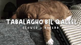 Tabalagho Bil Qaleel Nasheed | SLOWED+ REVERBED | Arabic Nasheed | ZayZu