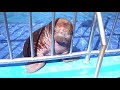 Baby Walrus at Safari World 2020