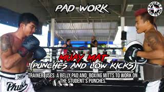Muay Thai Pad Work Styles at Phuket Top Team
