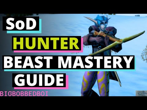 SoD Hunter – Beast Mastery Runes, Talents, Rotation Guide WoW Classic Season of Discovery
