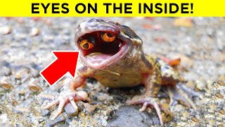Bizarre Discoveries Found In Unexpected Places - Part 2
