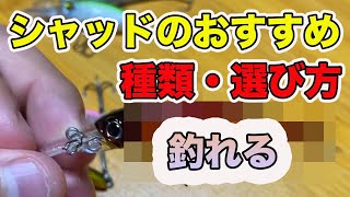 【バス釣り】シャッドのおすすめ！最強に釣れるルアーと選び方や種類についても徹底解説！