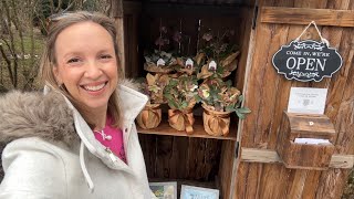 Selling Hellebores at the Flower Stand, Planting Ranunculus Corms, Planting Sweet Pea Seeds