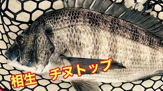 相生　チヌトップゲーム