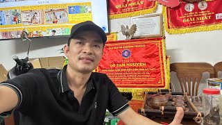 Quy Luật Chim Thay Lông