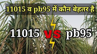 pb95 और 11015 में कौन सी ज्यादा बेहतर है #kisanadda