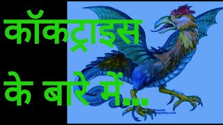 कॉकट्राइस के बारे में | Cockatrice | Myth | 14वीं शताब्दी