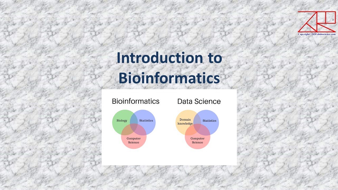 Bioinformatics - Lecture 10 - Revision (2020 - 2021) - YouTube