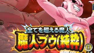 極限Ｚバトル魔人ブウ（純粋）レベル３０