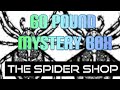 The spider shop  mystery box  #thespidershopmysterybox #tarantulamysterybox