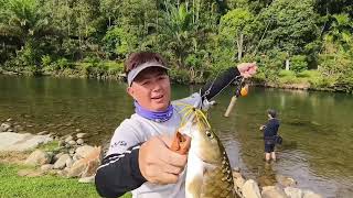 Casting Ikan Kelah Pelian Guna Spinner Bait / Ikan Pelian / @RyuFishingTackles