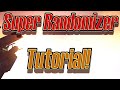 Borderlands 2: Super Randomizer Mod Tutorial! Step By Step.