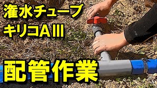 潅水チューブ・キリコＡⅢ　配管作業の様子（取水口～潅水チューブ）