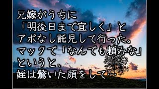 【感動する話　実話】兄嫁がうちに「明後日まで宜しく」とアポなし託児して行った。マックで「なんでも頼みな」というと、姪は驚いた顔をして…