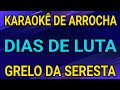 KARAOKÊ - DIAS DE LUTA - GRELO DA SERESTA