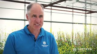 Q&A with our Research Scientist | Corteva Canada