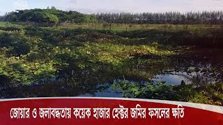 বেড়িবাঁধ না থাকায় নোয়াখালীর কয়েক হাজার হেক্টর কৃষি জমির ফসলের ব্যাপক ক্ষতি 1Sep.20