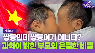 [자막뉴스] 쌍둥인데 쌍둥이가 아니다?…과학이 밝힌 부모의 은밀한 비밀 / OBS 뉴스