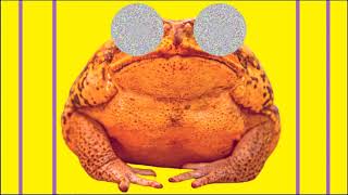 The Toad | Lofi Hip hop/Relaxing Beats