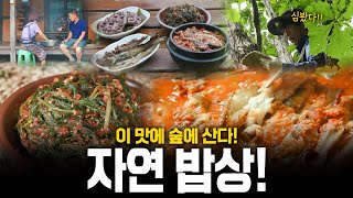 산속에서 발견한 보물⁉️ 이 맛에 자연에 산다! 숲🌱에서 먹는 자연 밥상! | KBS 240926 방송 #한국인의밥상