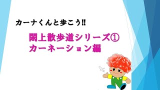 カーナくんと歩こう！！閖上散歩道シリーズ①カーネーション編